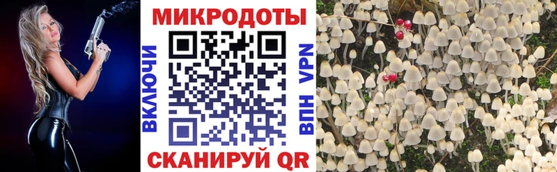 Галлюциногенные грибы Cubensis  ссылка на мегу ссылки  Лесосибирск 