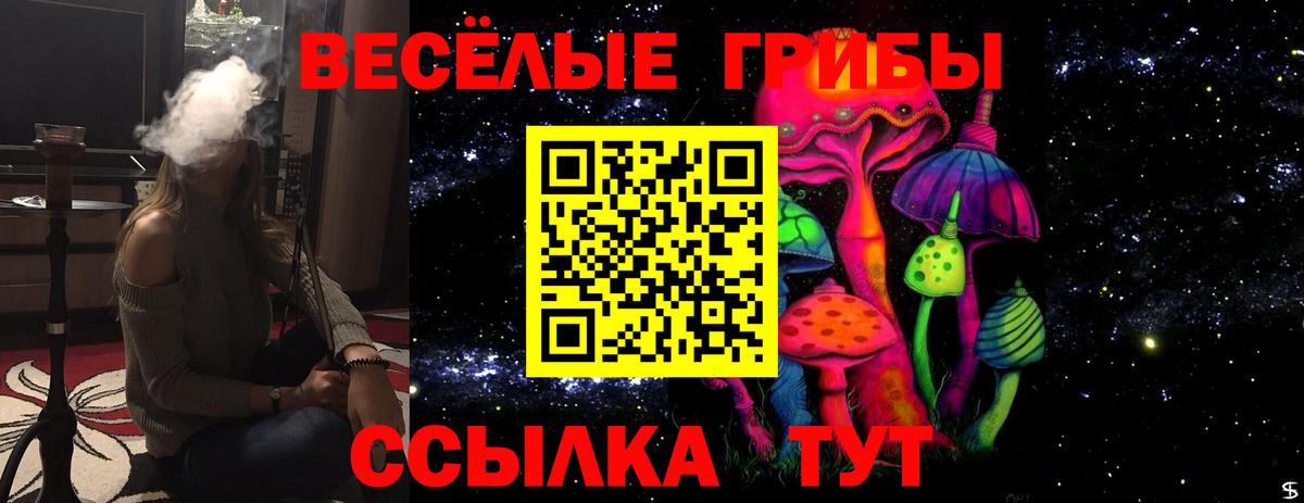 Псилоцибиновые грибы GOLDEN TEACHER Лесосибирск